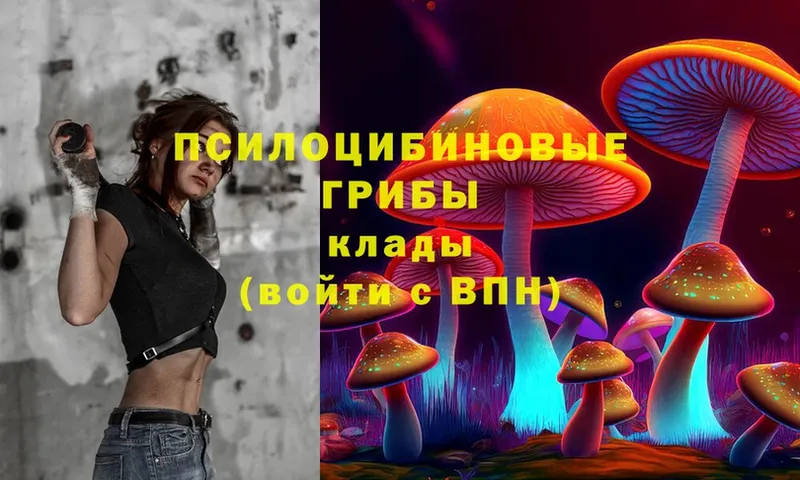 где можно купить наркотик  Лаишево  Галлюциногенные грибы Psilocybine cubensis 